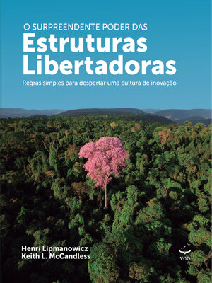 cover image of O Surpreendente poder das Estruturas Libertadoras